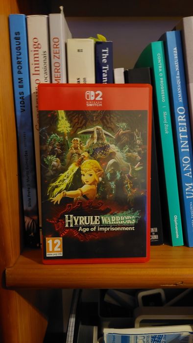 Hyrule warriors age of imprisonment