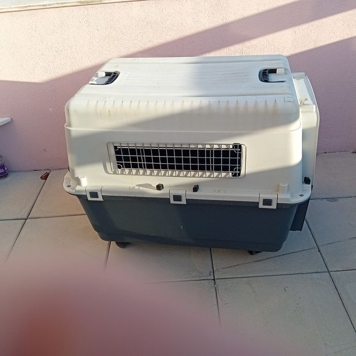Caixa de transporte para animais