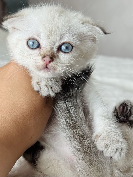 Осінні антидеприсанти