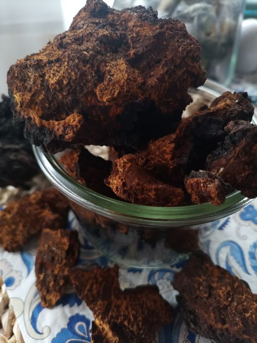 Czaga 500 gr (kawałki)