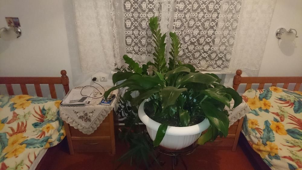 Продам квартиру. 10 хвилин до моря на авто.