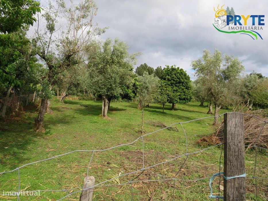 Terreno para construção de duas moradias a 5 minutos da Sertã