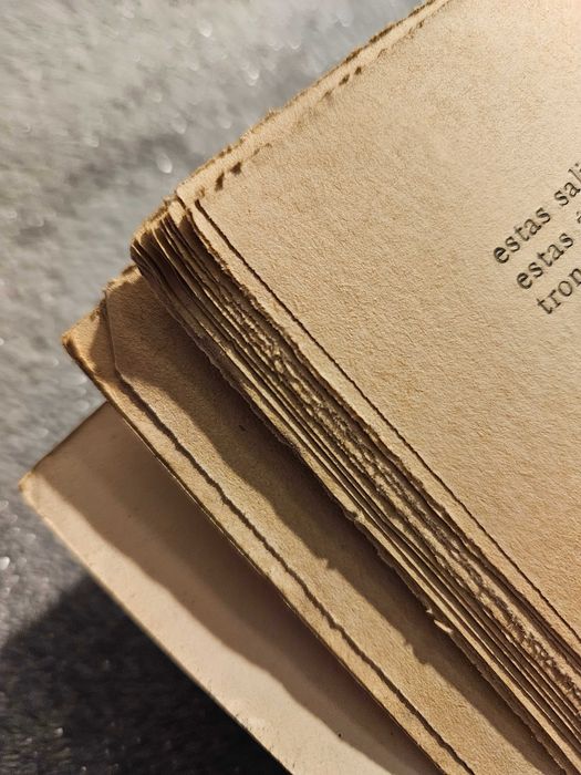 O Robinson suíço, João Rodolfo Wyss, livro antigo