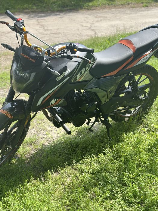 Продам або обміняю мустанг 250-09R