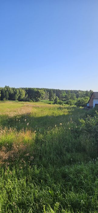 Земельна ділянка в смт. Гаврилівка,  Бучанського р-ну.