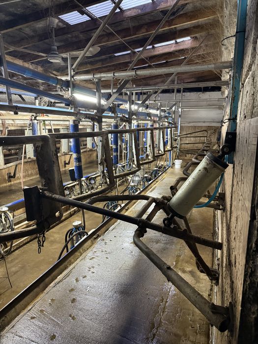 Hala udojowa delaval rybia ość 2x6 gea westfalia lely