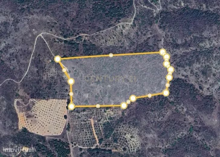 Terreno rústico com 64000m2 em Soalheiras, Rosmaninhal