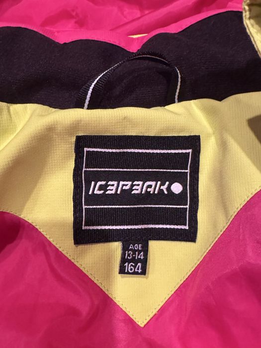 Зимовий або лижний костюм для дівчинки