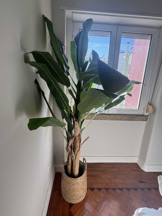 Bananeira artificial 180cm de qualidade superior