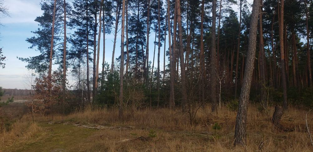 Продажа,обмен 2га с.Марьяновка осг фасад, асфальт