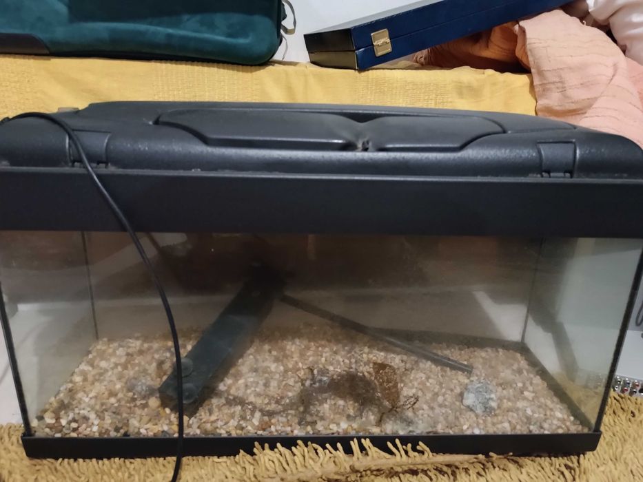 Aquário grande para peixes/ tartarugas