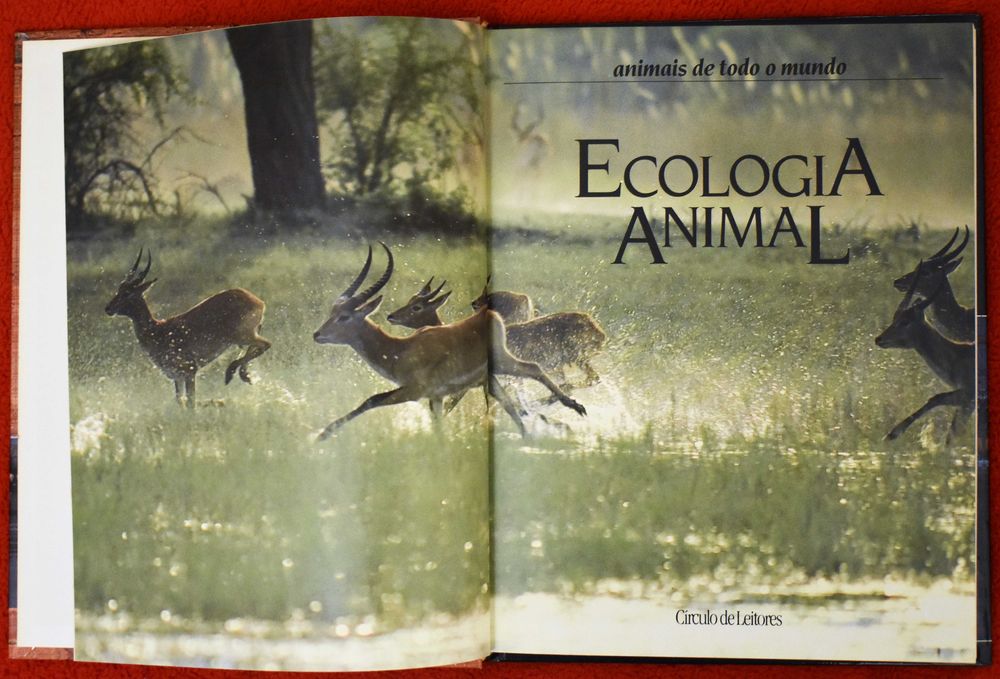 Animais de Todo o Mundo: Ecologia Animal