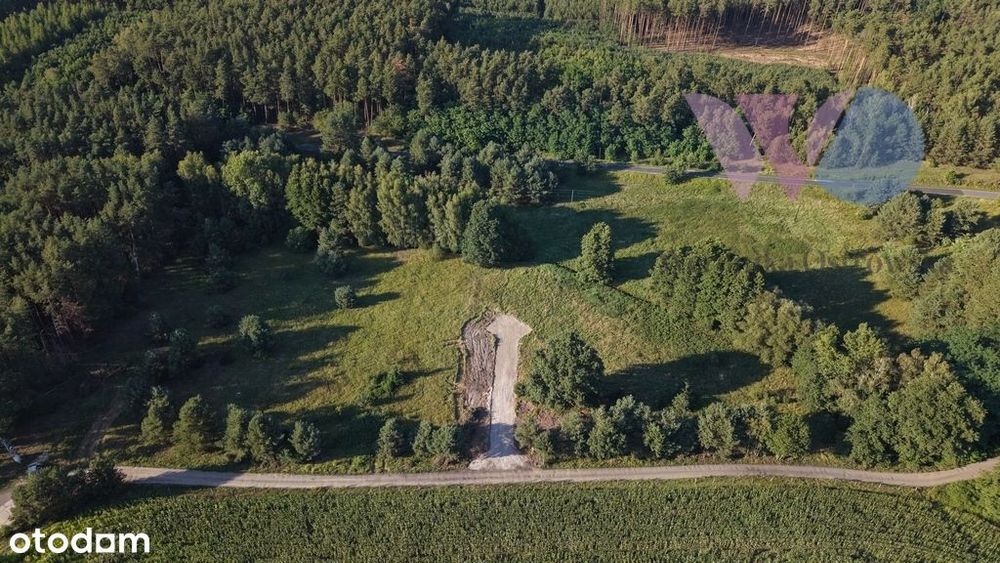 Leśny Zakątek – Działki Z Warunkami Zabudowy