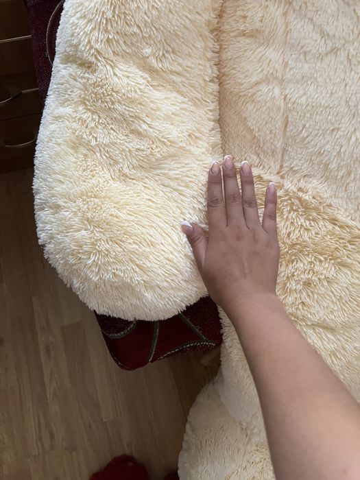 Ведмідь великий, найкращий подарунок