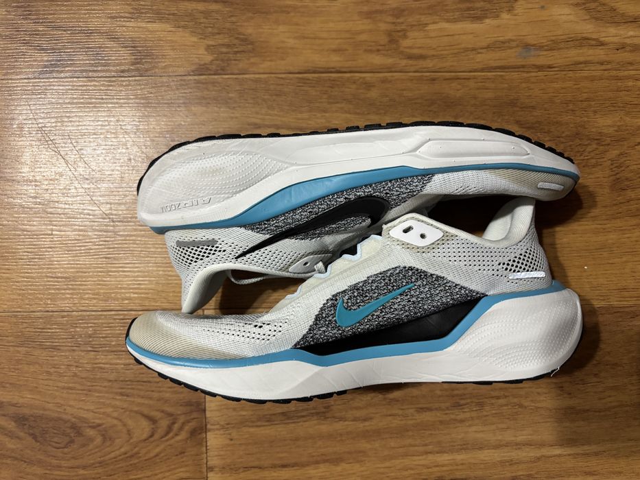 Кросівки Nike Air zoom pegasus 41