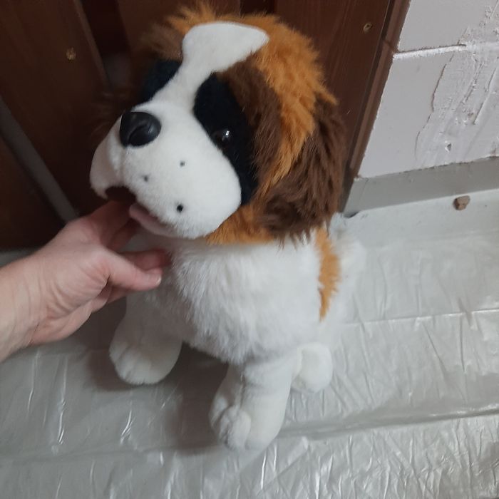 Pies Bernardyn maskotka