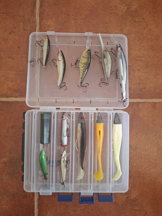 Material pesca achigã