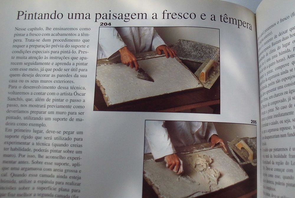 Livro- Técnicas Mistas- técnicas sobre desenho e  pintura