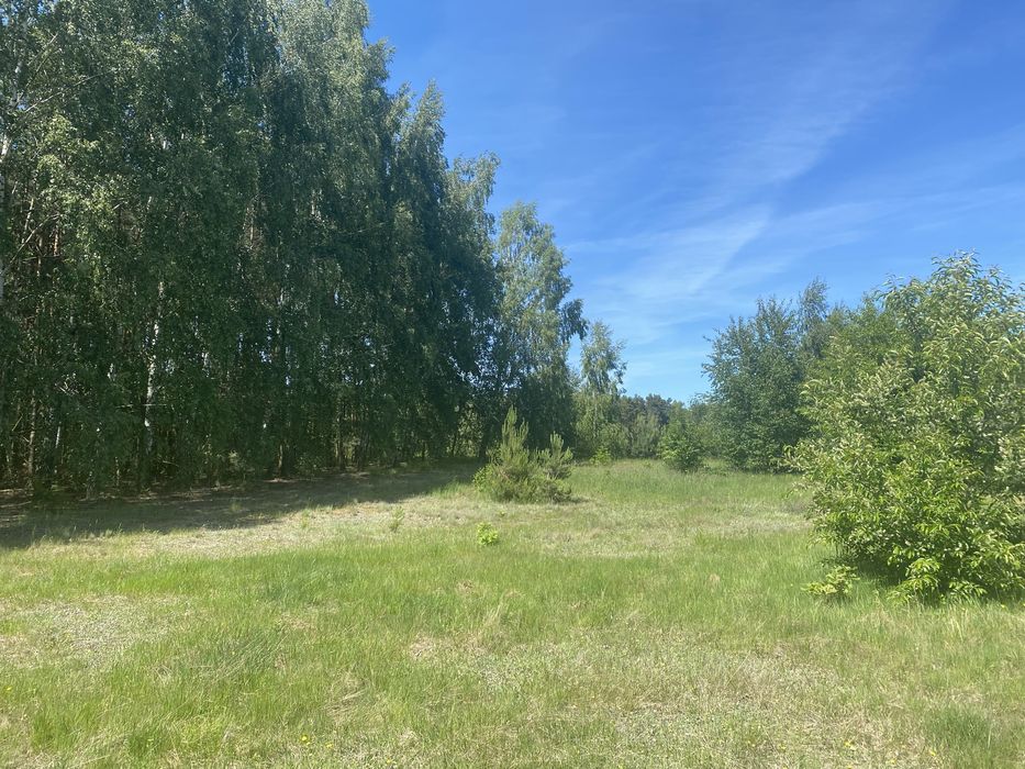 Działka w sąsiedztwie lasu z widokiem, Słodków-Kolonia 10,5ar