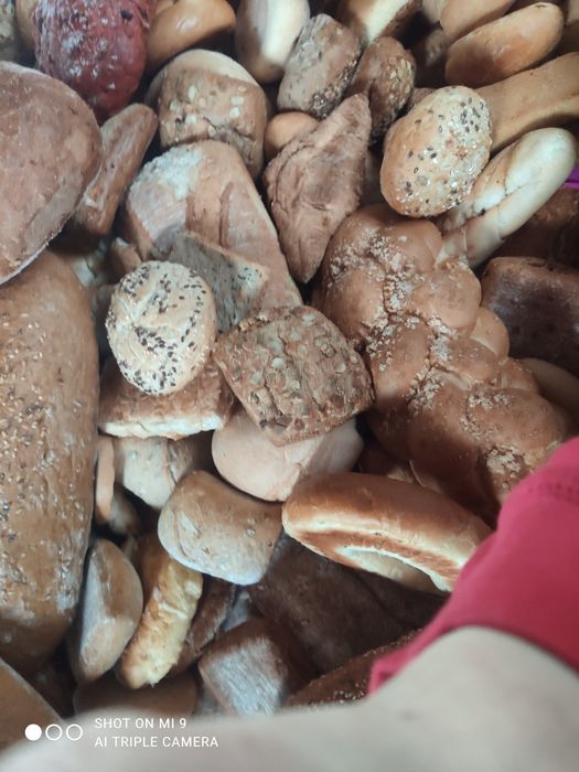Chleb dla zwierzat