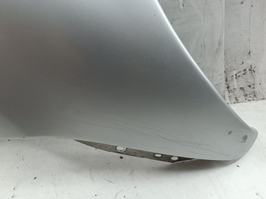 Guarda Lamas Direito - CITROËN Xsara Picasso (N68) | 99 - 12