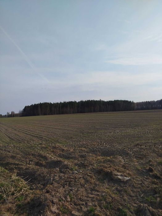 Działki budowlane Malczyn gmina Nasielsk 19/1-19/8 - Widok 3
