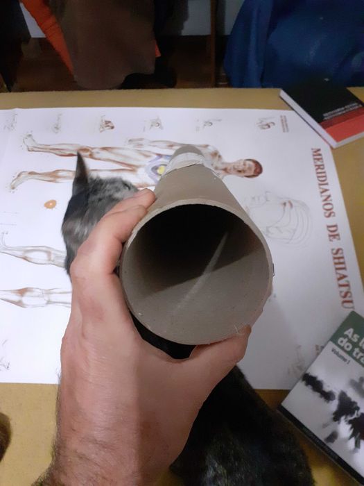 Poster para terapeutas - Shiatsu e Makko-ho