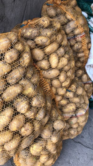 Naturalne swojskie wyroby od rolnika