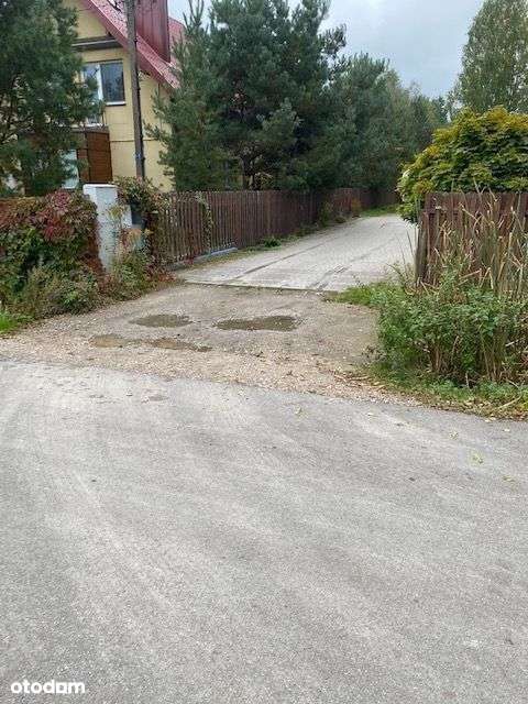 Zdjęcie 3