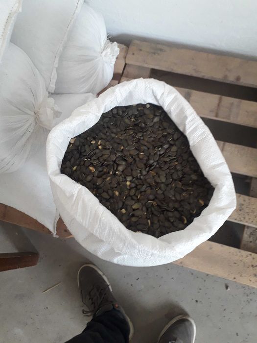 Pestki dyni bezlupinowej