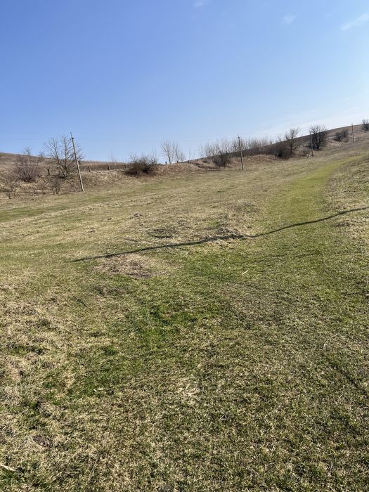 ‼️Рясники ділянка‼️