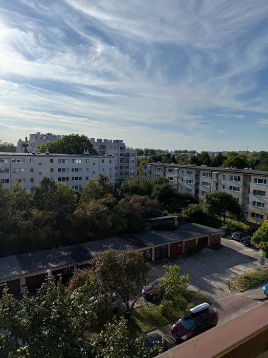 Zdjęcie 8