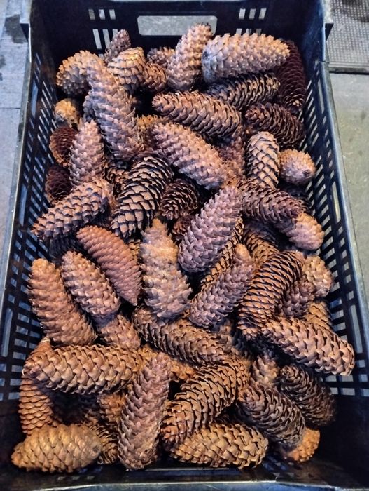 Природні матеріали для декора