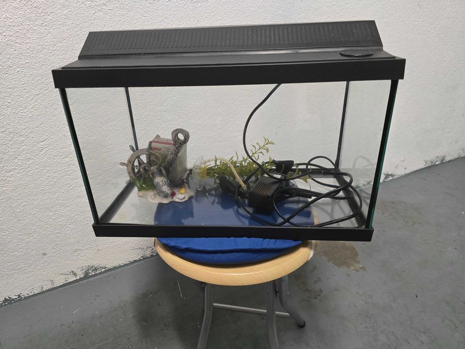 Aquario para peixes com acessorios