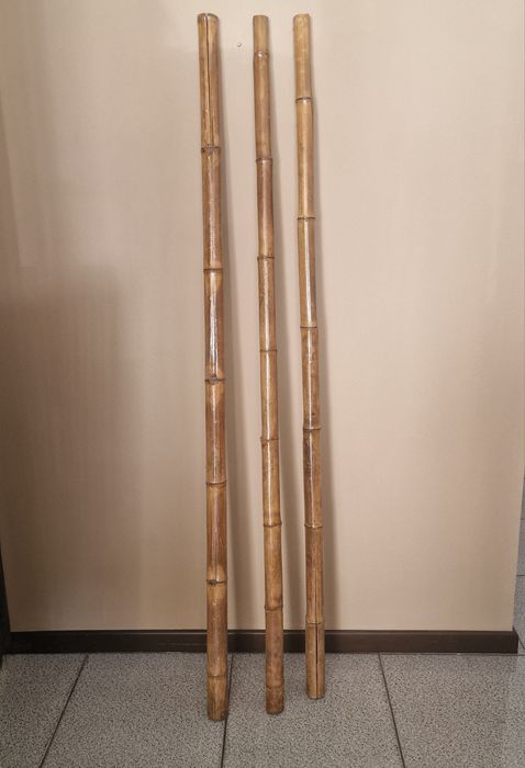 3 canas de bamboo de decoração