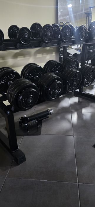 Halteres 2,5 ao 37,5 com suporte.