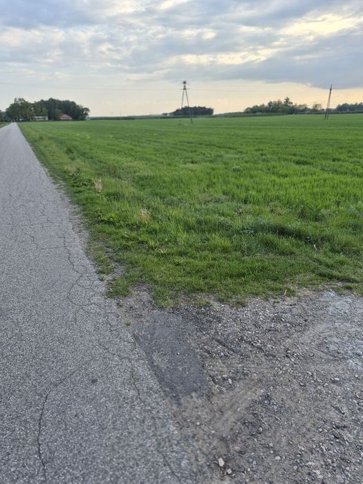 Działki budowlane z WZ, Konstantynów, gmina Rybno - Widok 4
