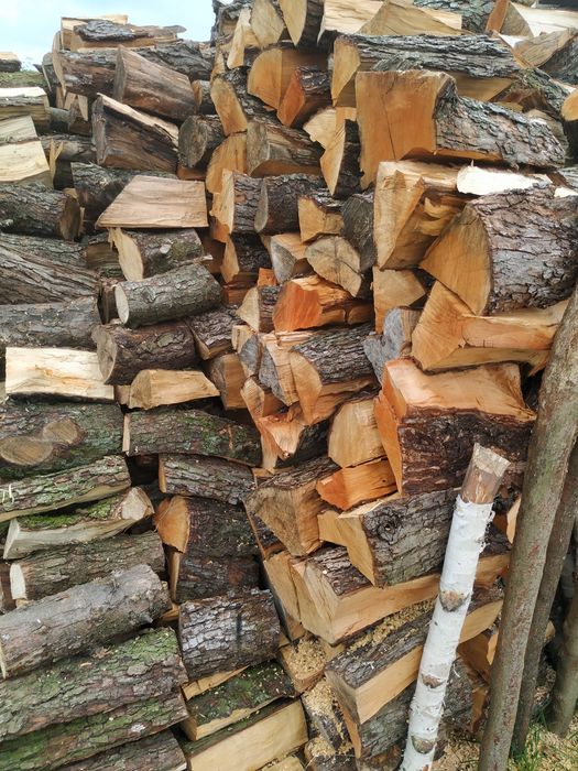 Drewno do wędzenia (gruszka, śliwka, brzoskwina)