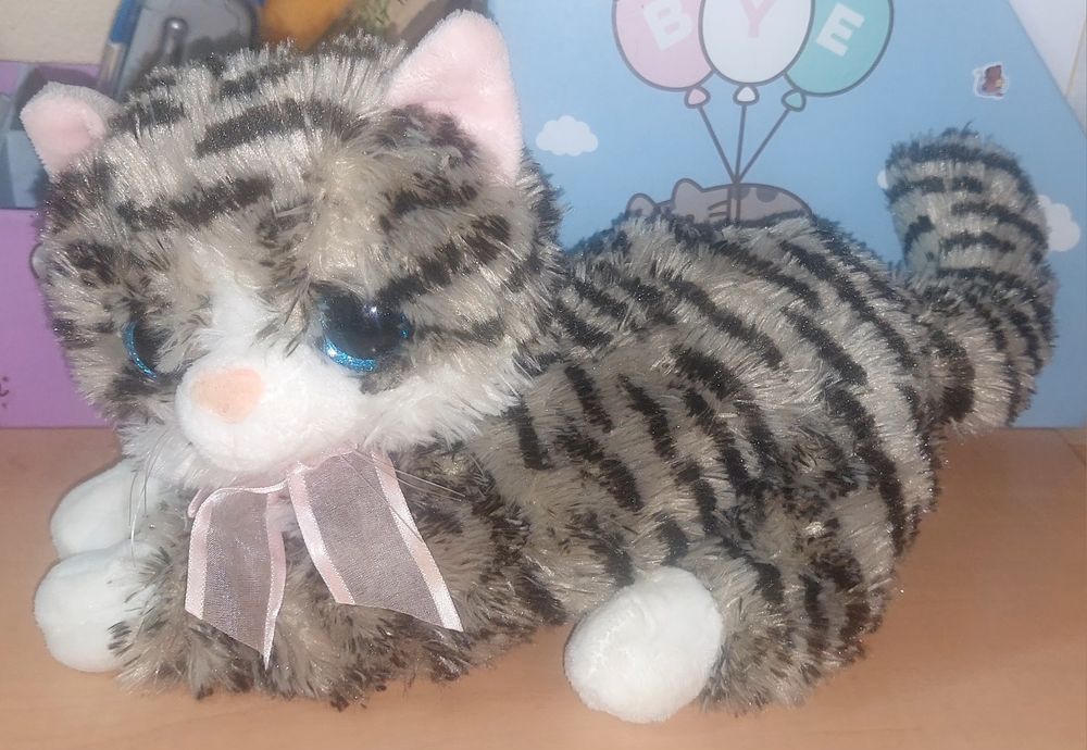 Красиві м'які киці