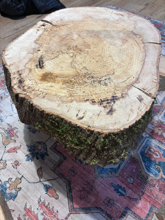 Sprzedam plaster jesiona