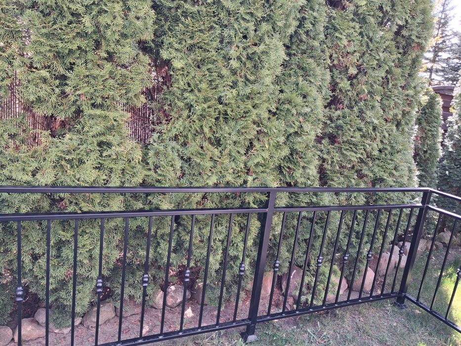 Balustrada na balkon i schody