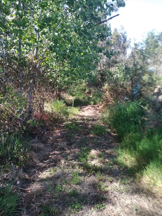 Terreno Rústico com 12 mil M2