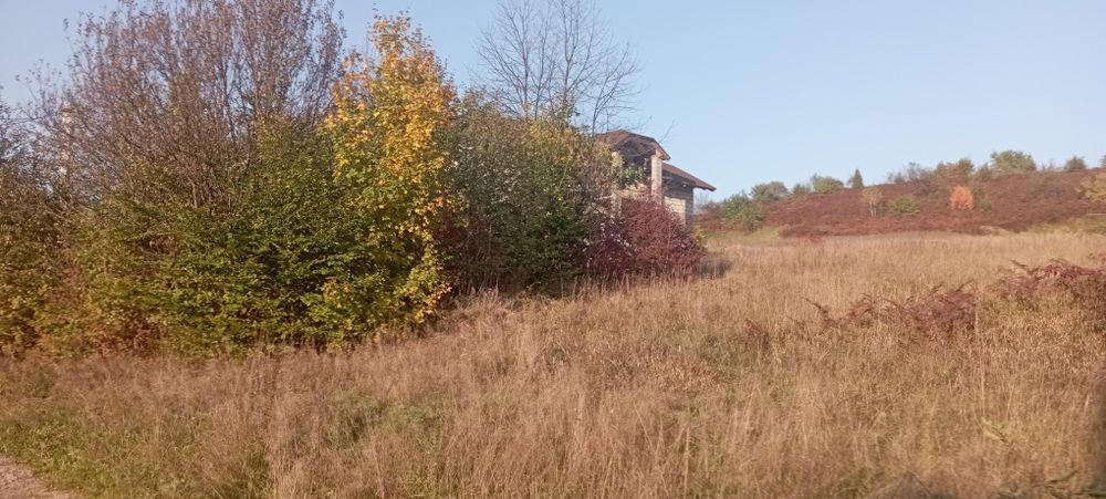 Продаємо земельну ділянку Яківське поруч курорту Сонячне Закарпаття