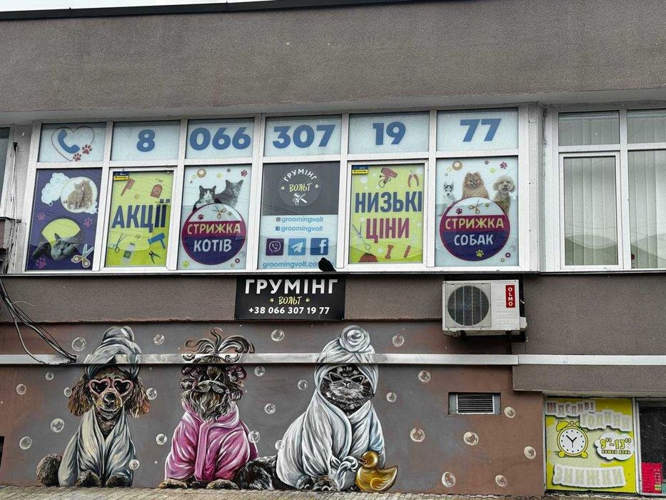 Стрижки собак і котів , НАЙНИЖЧІ ЦІНИ у "Грумінг "ВОЛЬТ" !!!