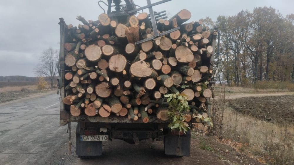 Продам дрова твердих порід опт/ розница