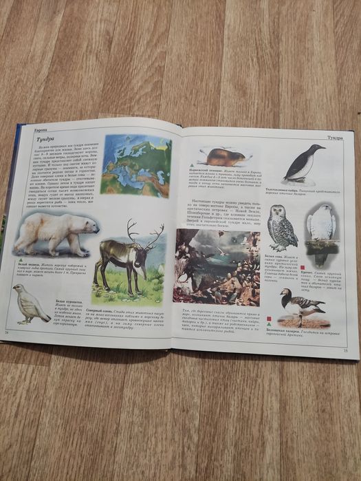 Книга для школьников