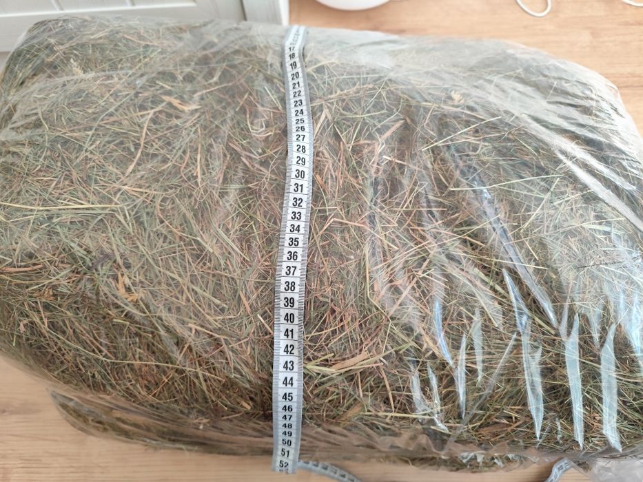 Siano dla gryzoni królika