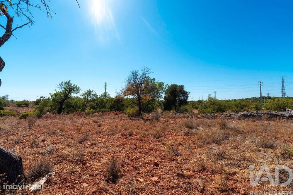 Terreno em Conceição e Estoi de 5480,00 m2