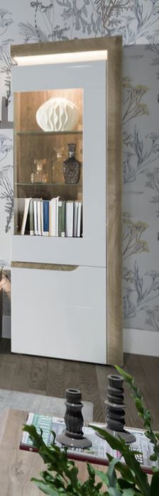 Witryna szklana podswietlana