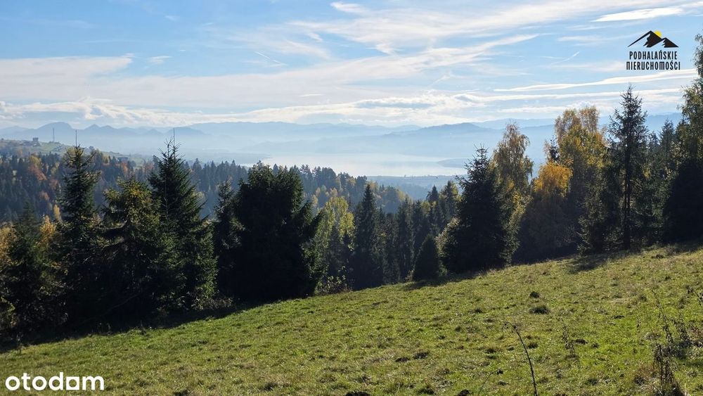 Widokowa polana w Gorcach